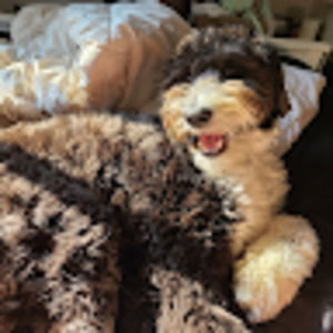 Meet your Posher, Mackenzie